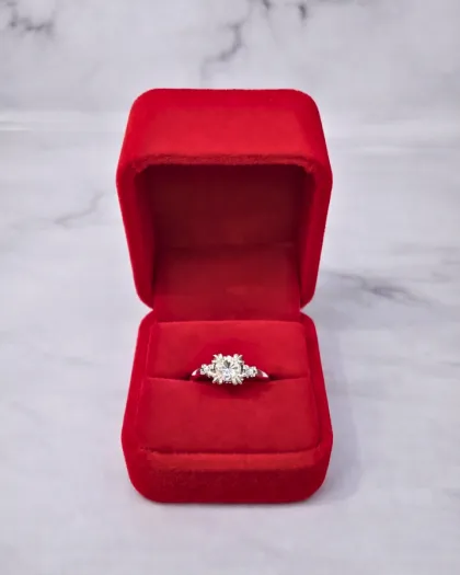 Anillo Sello Número 28